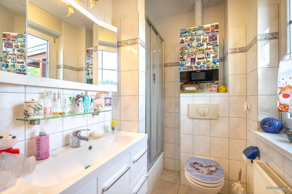 EG Gäste-WC mit Dusche, WC und