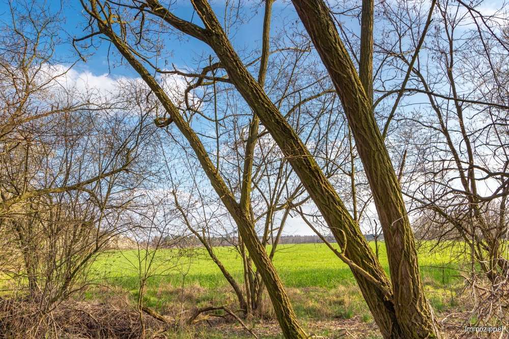 Blick auf die Felder hinter de