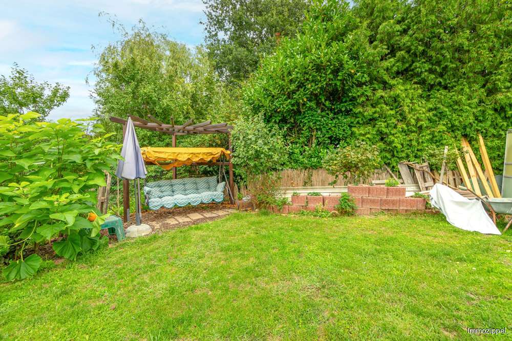 Blick in den Garten