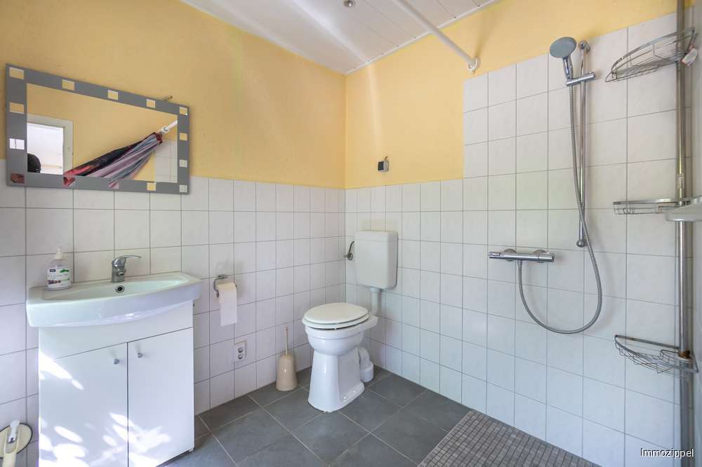EG Duschbad mit WC und WB