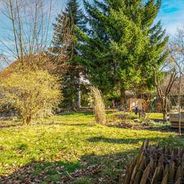 Gartenansicht 1