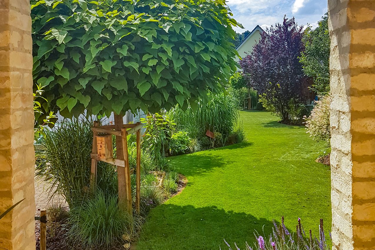 Blick-von-der-Terrasse-im-Sommer