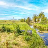 Alte Welse und Blick zu den Töpferbergen