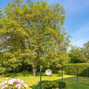 Blick in den Garten