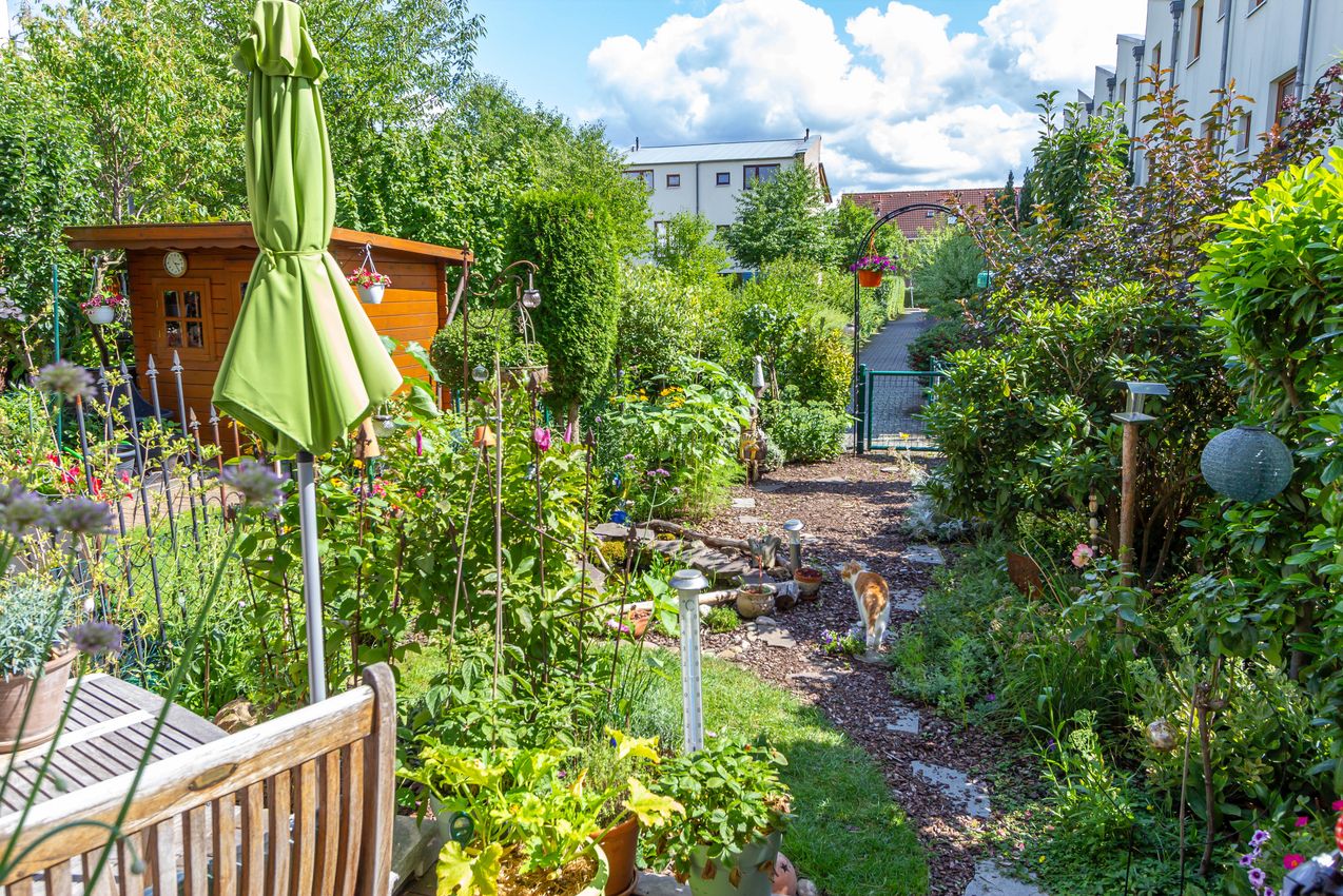 Blick in den Garten