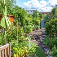 Blick in den Garten