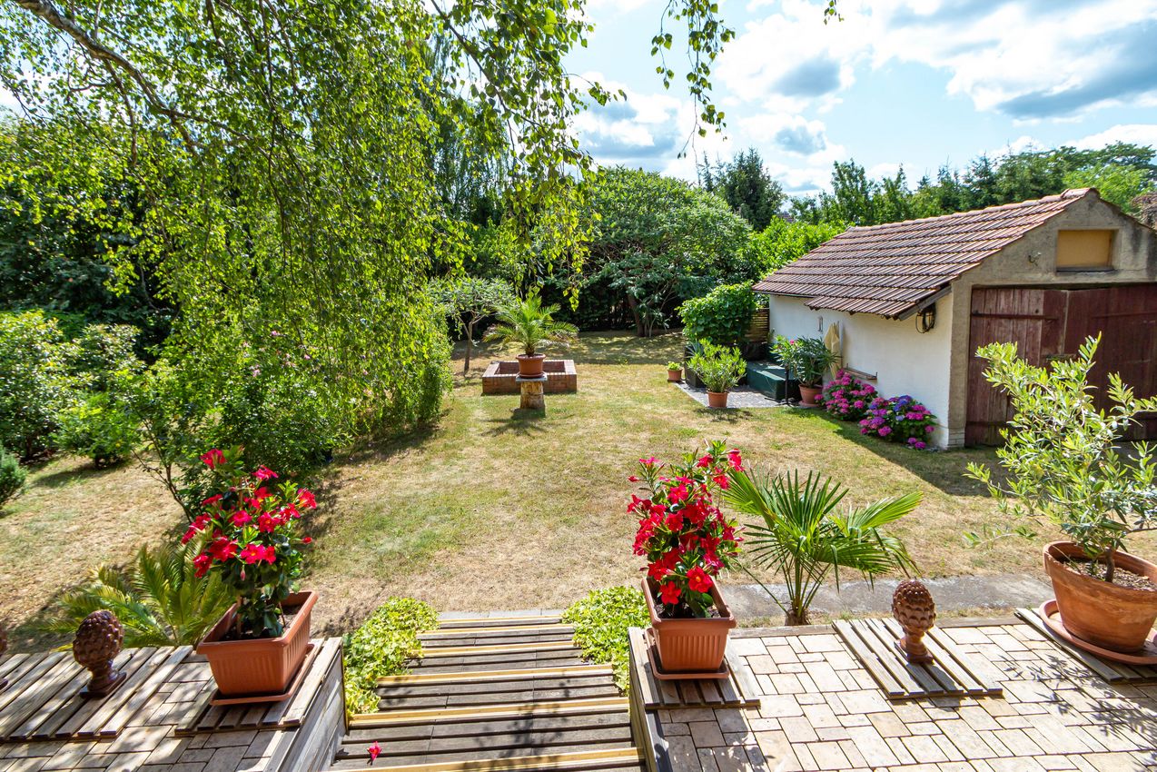Blick von der Terrasse in den Garten