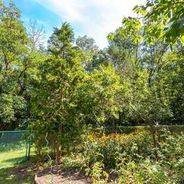 Blick in den Garten
