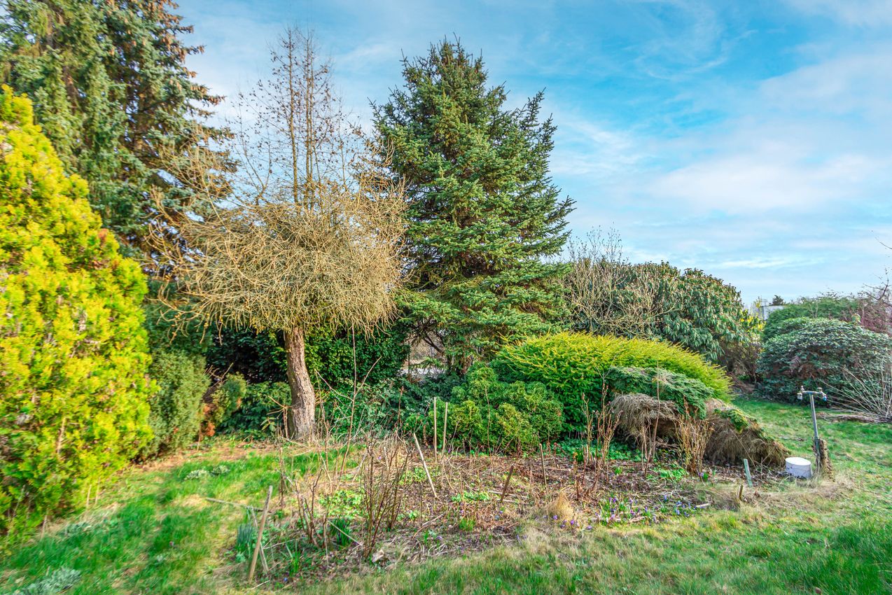Blick in den Garten