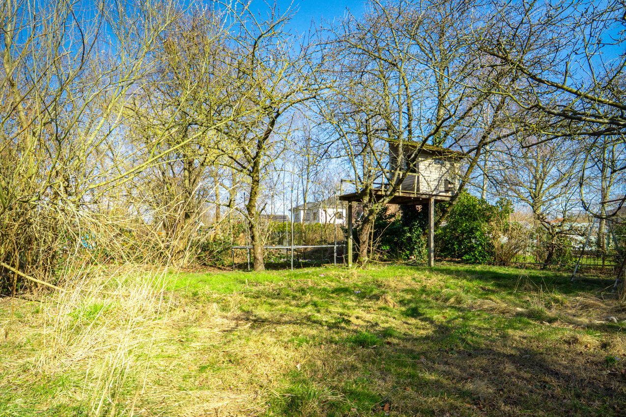 Gartenansicht 2