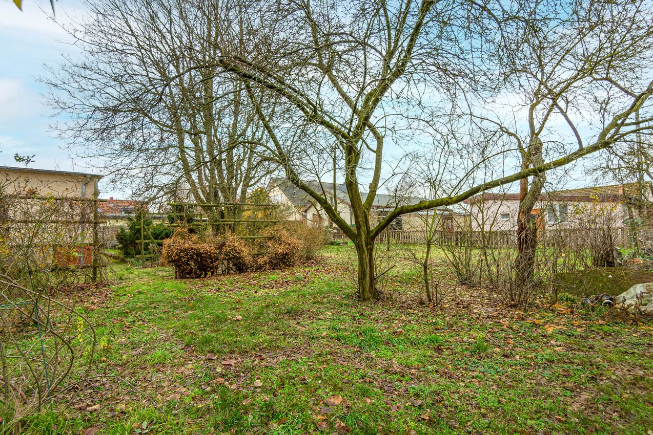 Garten Ansicht 1