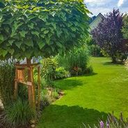 Blick-von-der-Terrasse-im-Sommer
