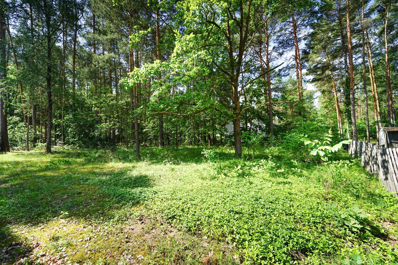 Rückseite Grundstück (Blick zurStraße)