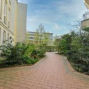 Grüner Innenhof