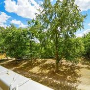 Blick vom Balkon