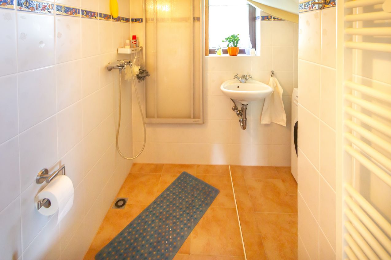 EG Gäste-WC mit Dusche