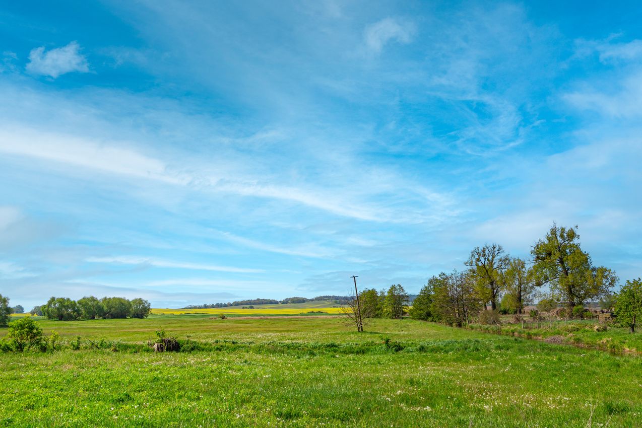 Blick auf Wiesen und die Töpferberge 