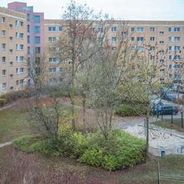 Blick aus dem Wohnzimmer