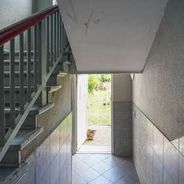 Treppe zum Garten