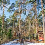 Waldblick hinter dem Grundstück