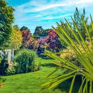Blick-in-den-Garten-Sommerbild