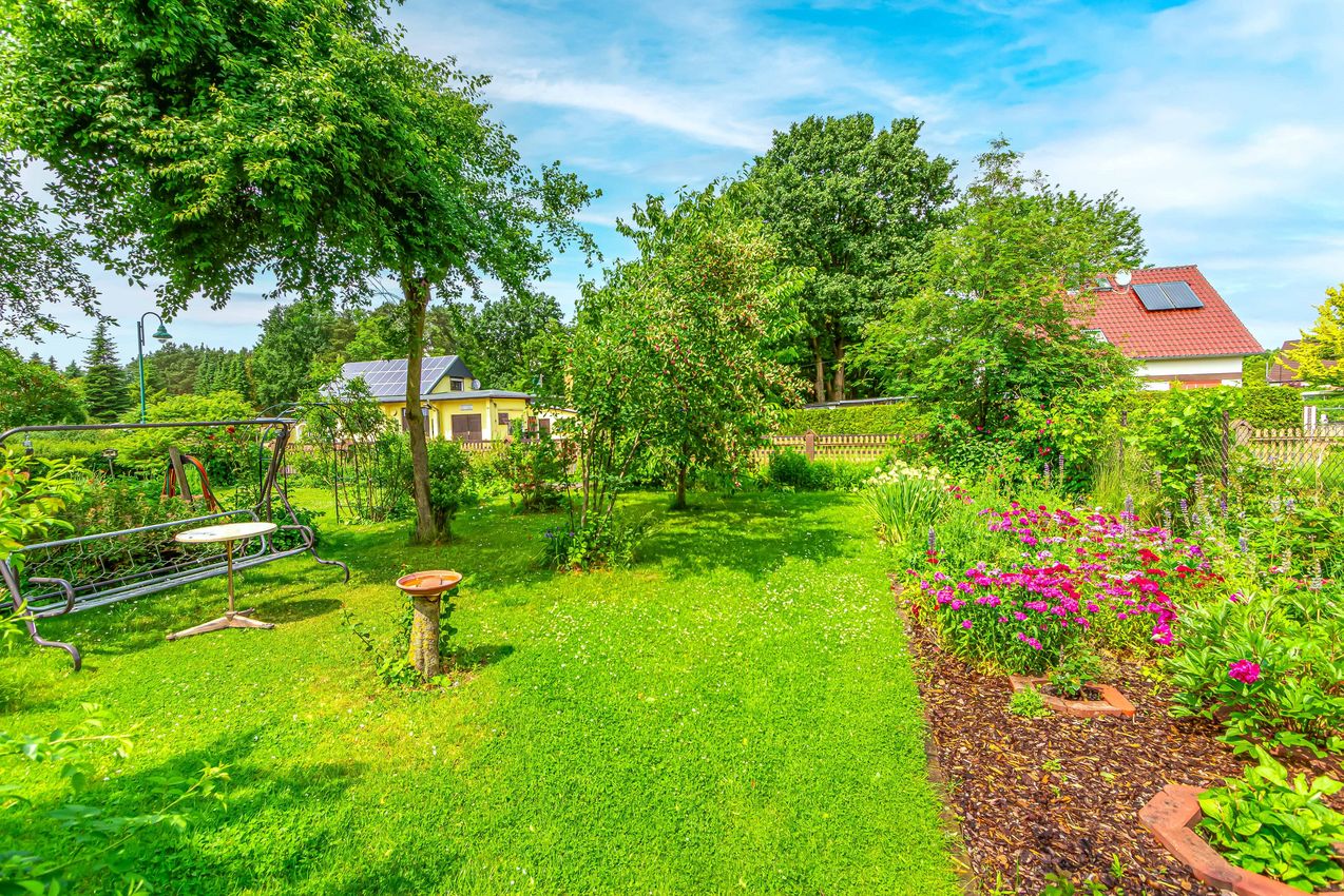 Blick in den Garten