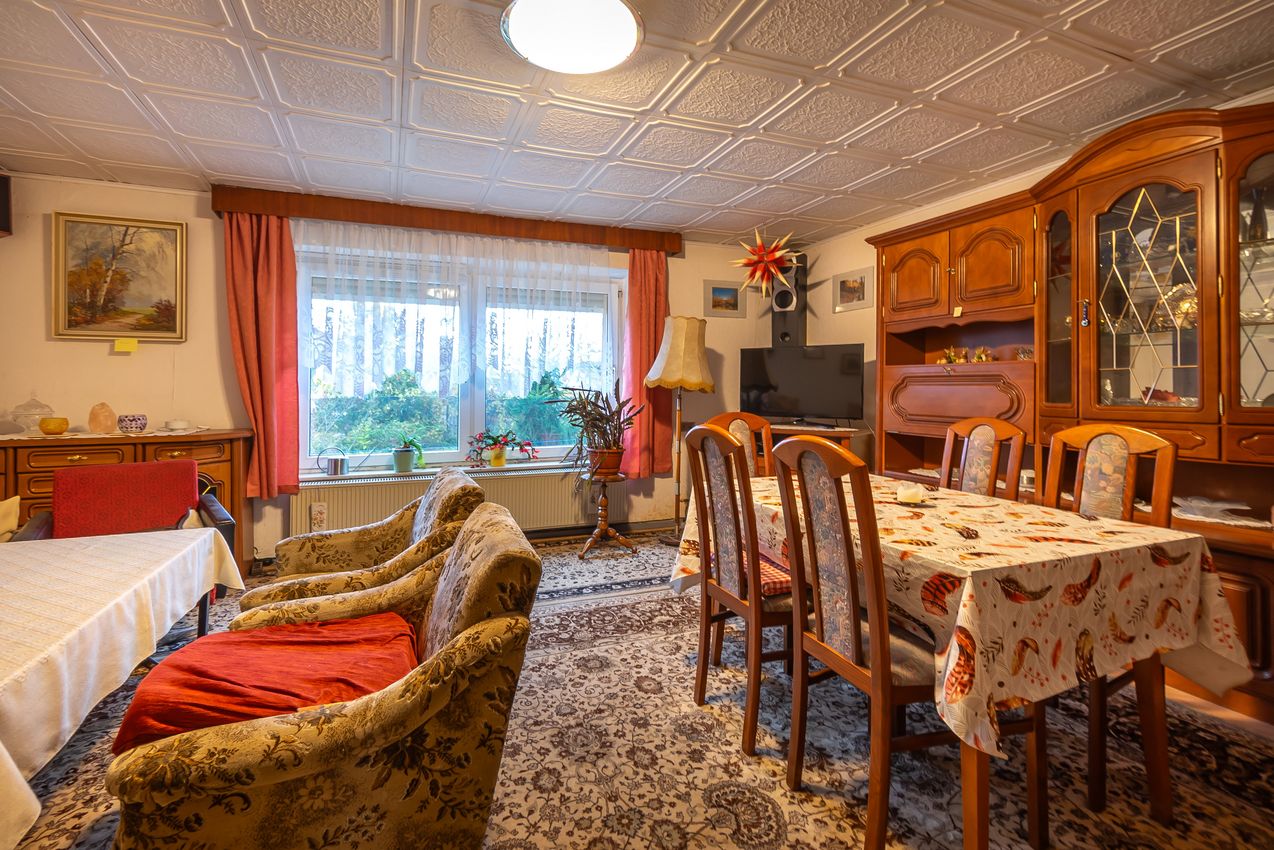 EG Wohnzimmer Ansicht 1