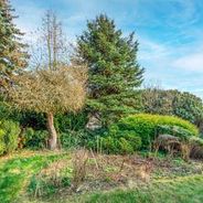 Blick in den Garten