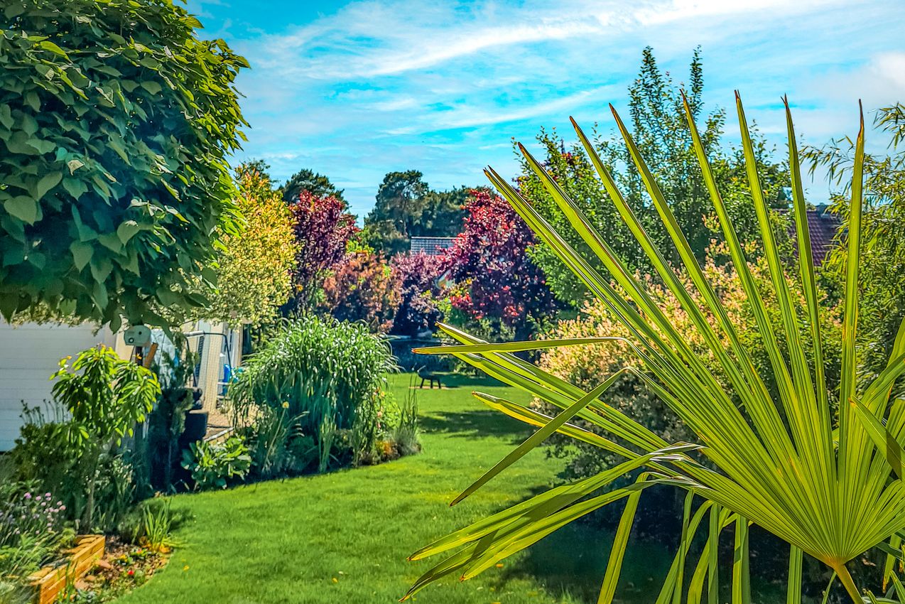 Blick-in-den-Garten-Sommerbild