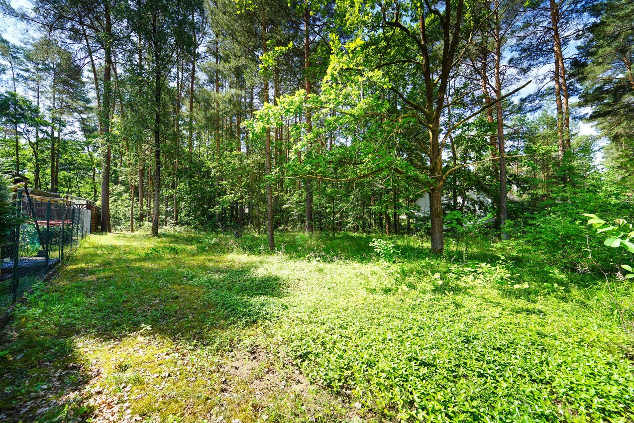 Rückseite (Blick zur Straße)
