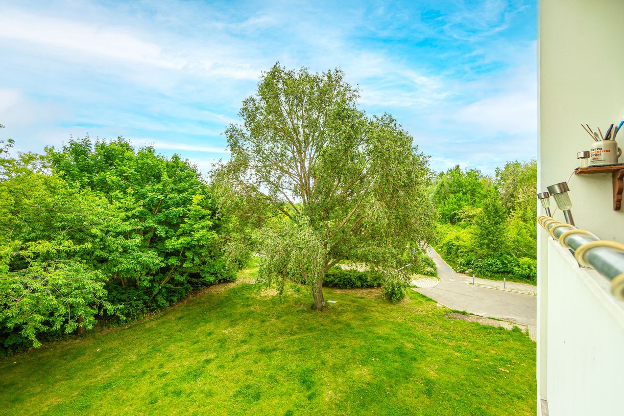 Blick vom Balkon