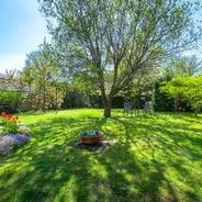 Garten hinter dem Haus