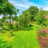 Blick in den Garten