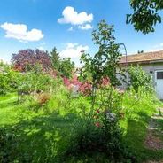 Gartenansicht mit Gerätehaus