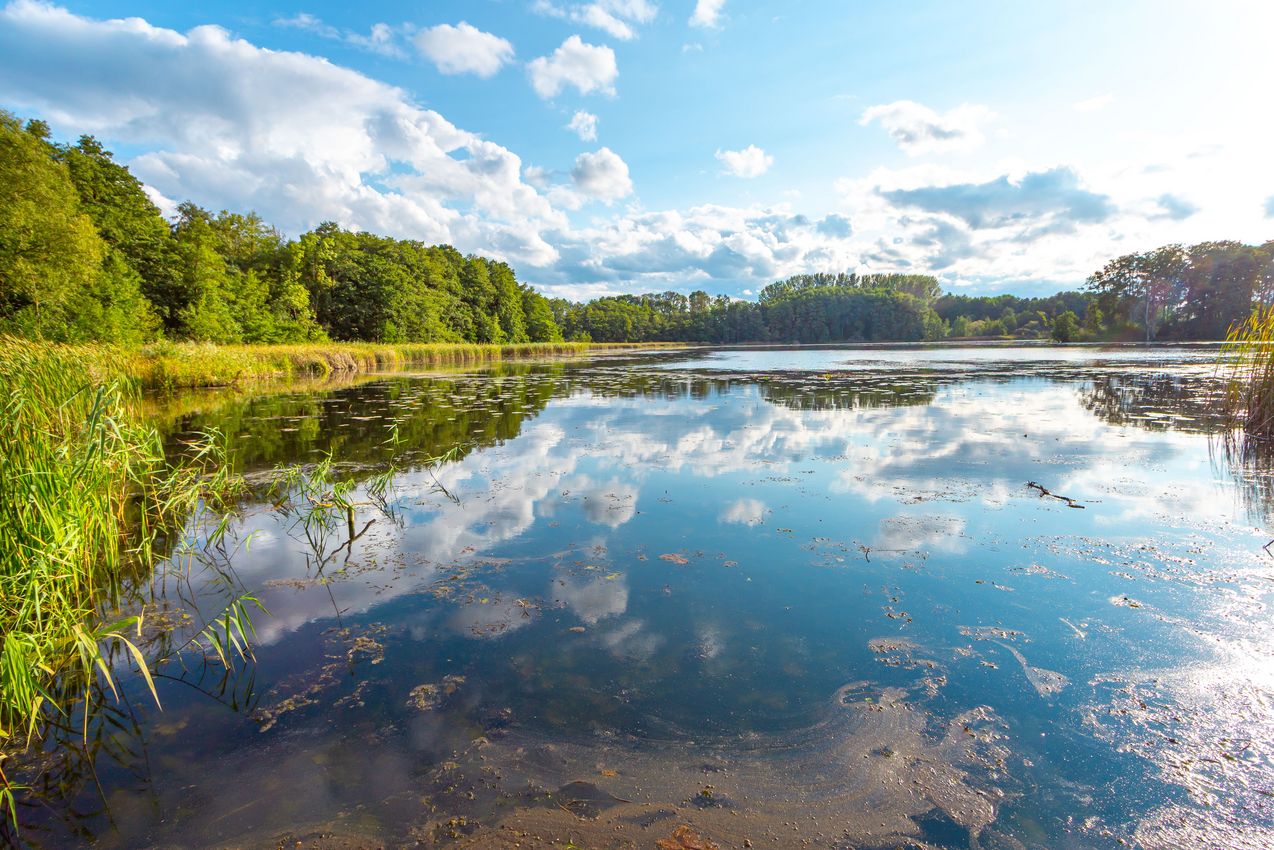 Blick auf den Haussee