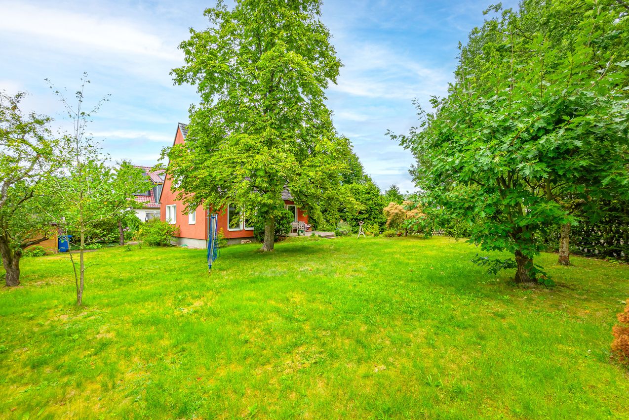 Garten Ansicht 1