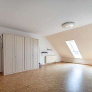 DG Dachstudio