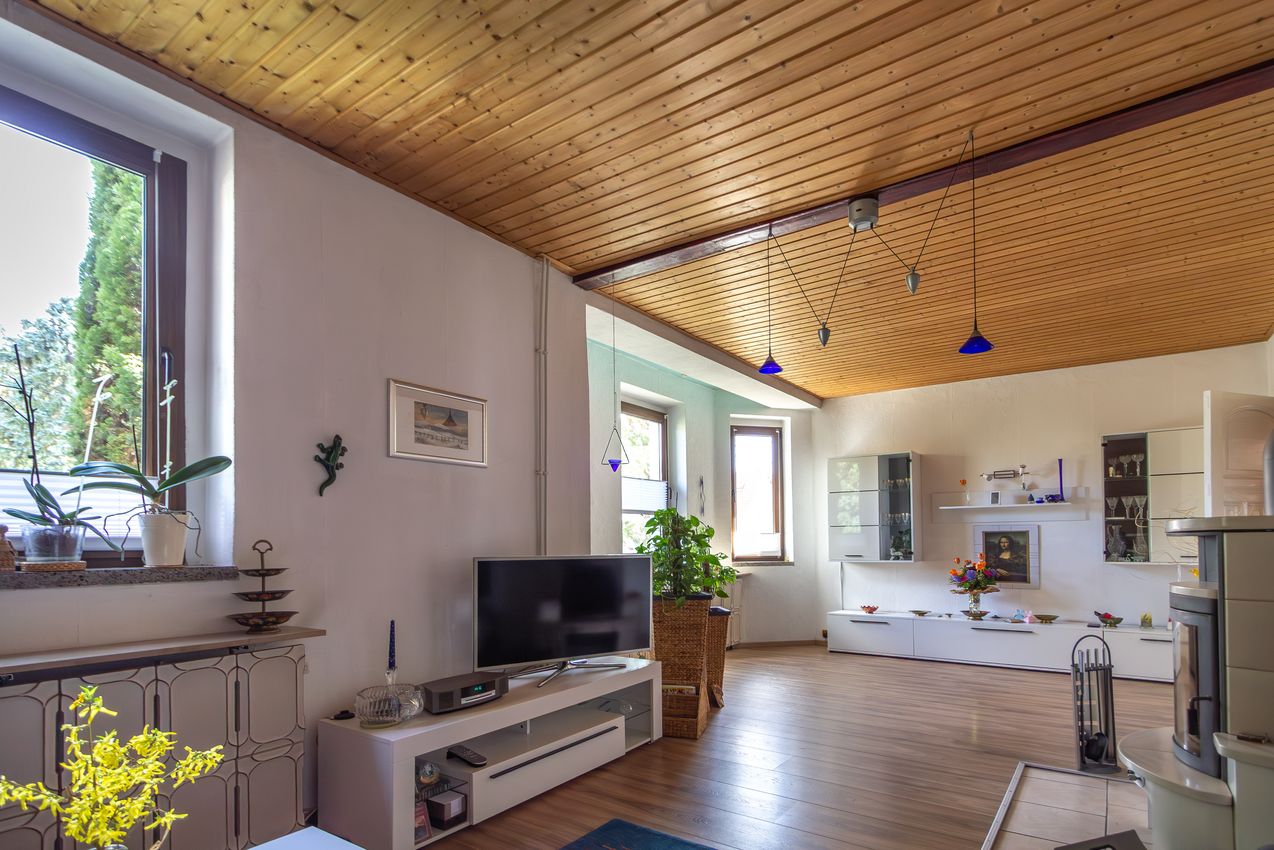 EG Wohnzimmer Ansicht 1