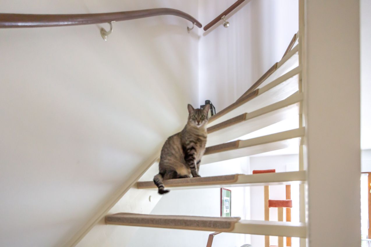 EG Treppe zum OG