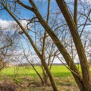 Blick auf die Felder hinter de