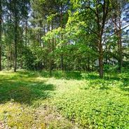Rückseite (Blick zur Straße)