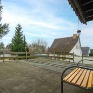 Süd-Terrasse am Wohnzimmer