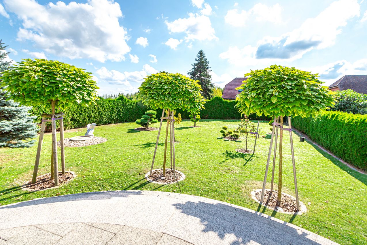 Blick von der Sonnenterrasse