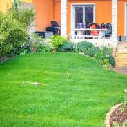 Garten-im-Sommer