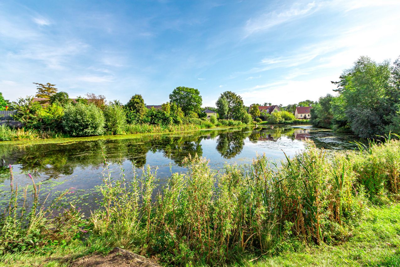 Idyllischer Dorfteich in Mehrow