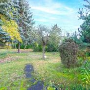 Blick von der Terrasse