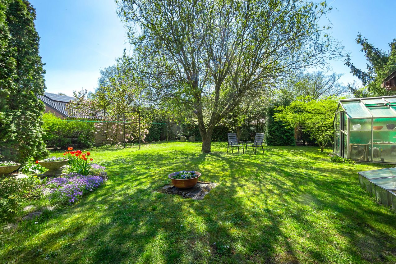 Garten hinter dem Haus