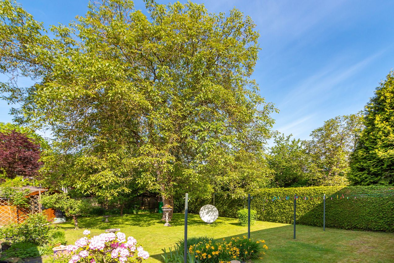 Blick in den Garten