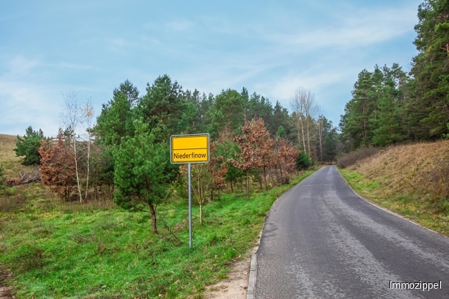 Waldrand Niederfinow