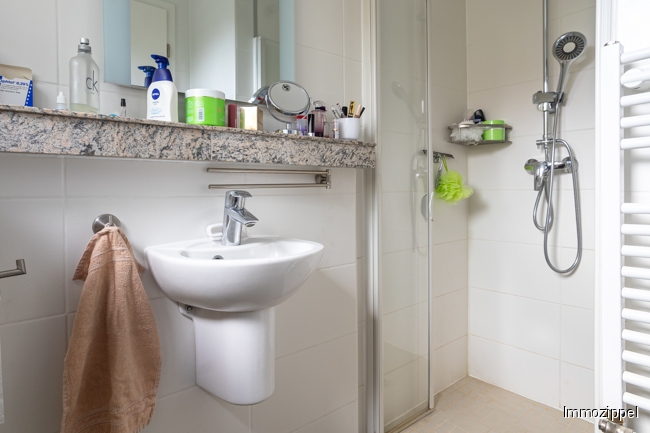 EG Dusche im Gäste-WC